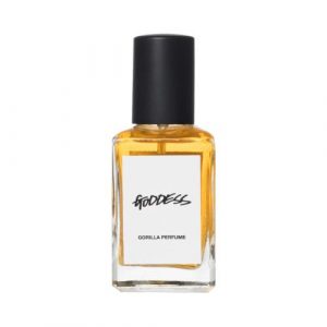 vyber-redakcie-10-500